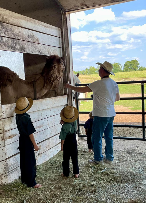 Three children and an adult pet a horse in a barn stall.