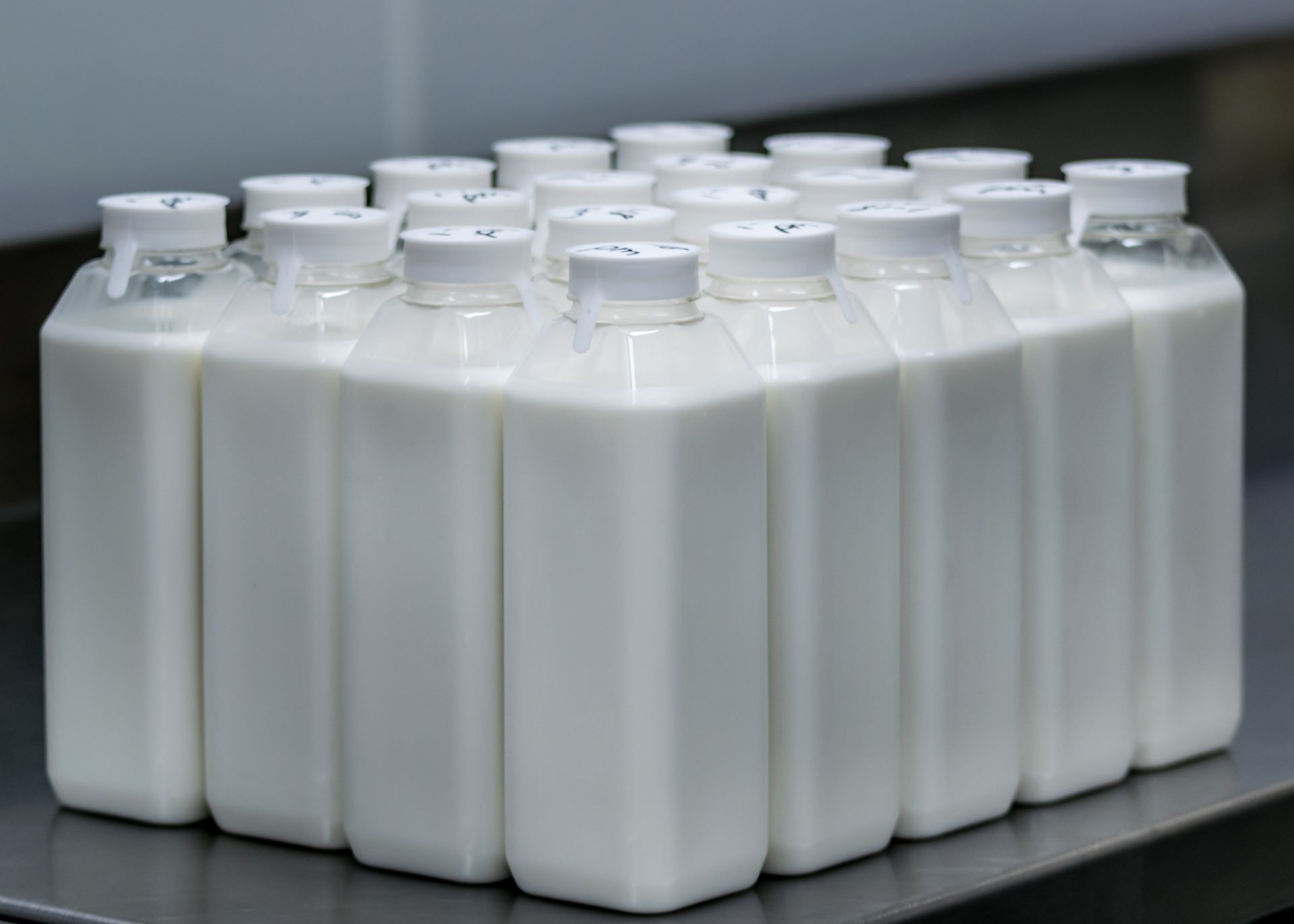 Rows of white plastic milk jugs with caps, arranged on a black tabletop.