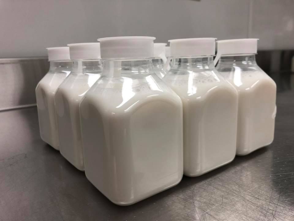 Several white plastic milk bottles with caps on a metal countertop.