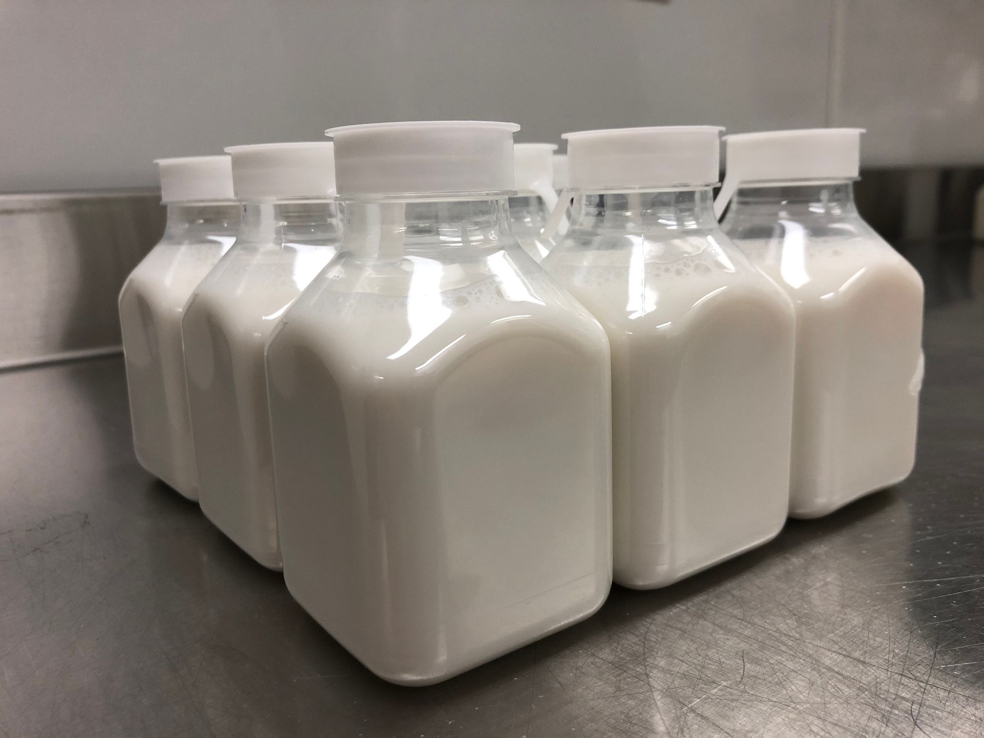 Rows of white plastic milk bottles on a stainless steel table