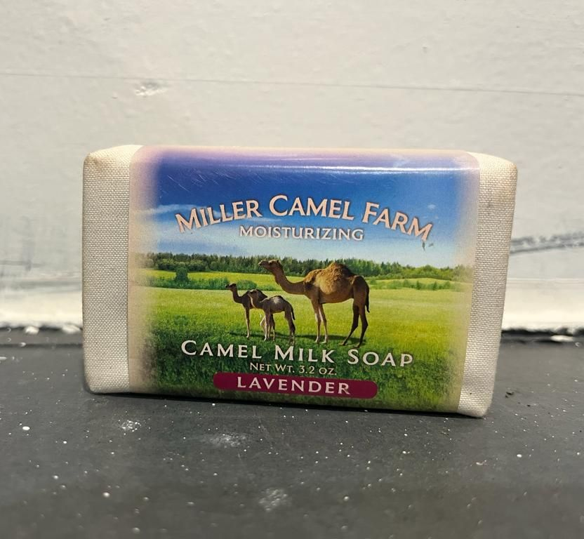 Camel Farm moisturizing camel milk soap, lavender scent, white bar with blue label on a dark surface