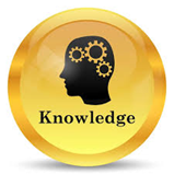 Yellow button with a head silhouette and gears, labeled 