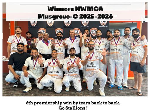 Senior cricket program