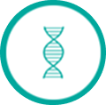 A teal DNA double helix within a teal circle on a white background.