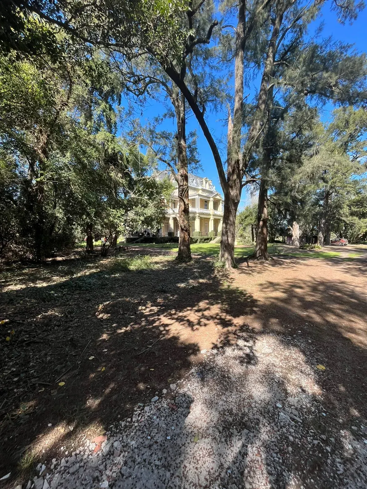 Sendero sombreado por árboles que conduce a una gran casa blanca con columnas bajo un cielo azul brillante.