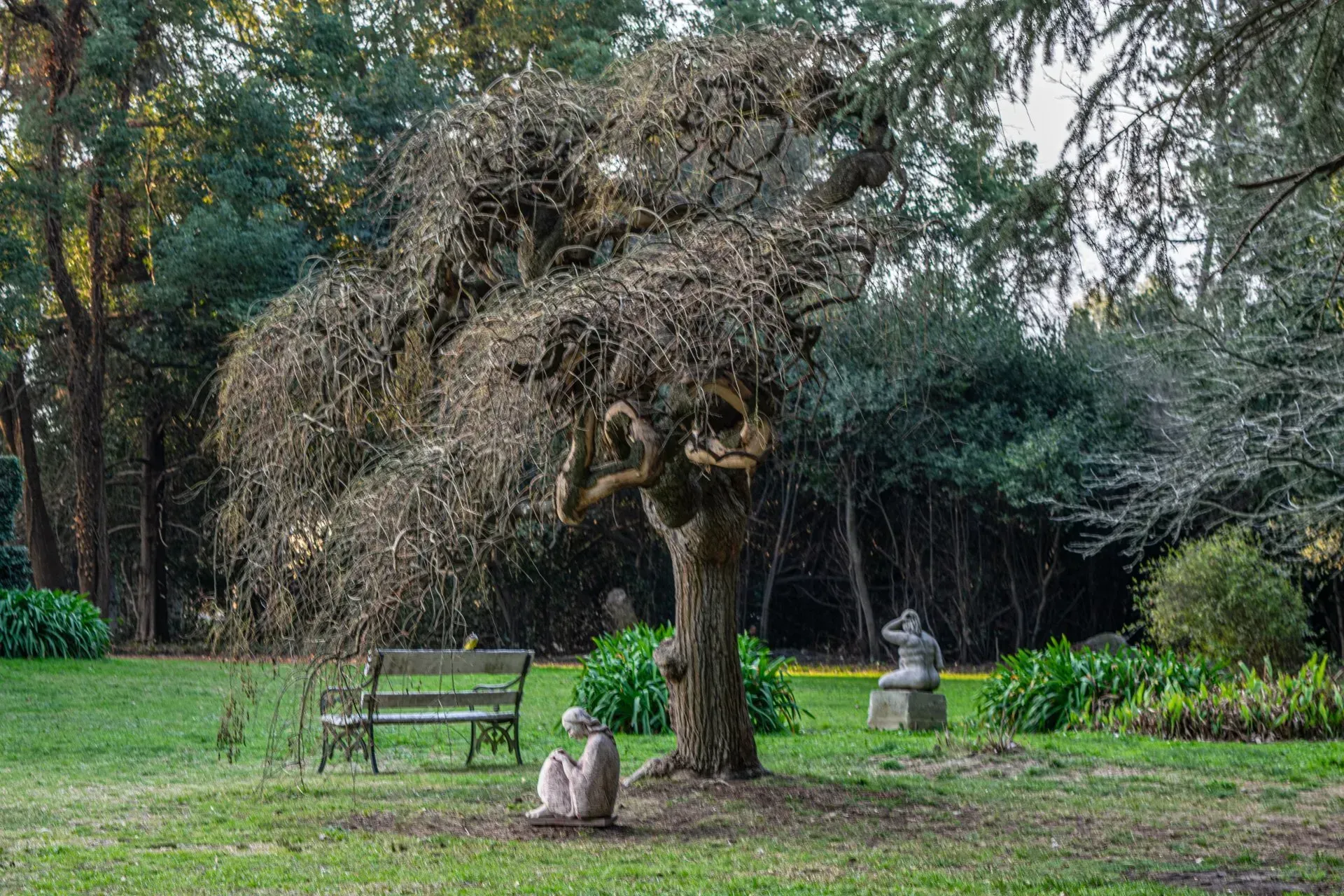 Parque con un árbol nudoso, bancos y dos estatuas de piedra sobre un césped.