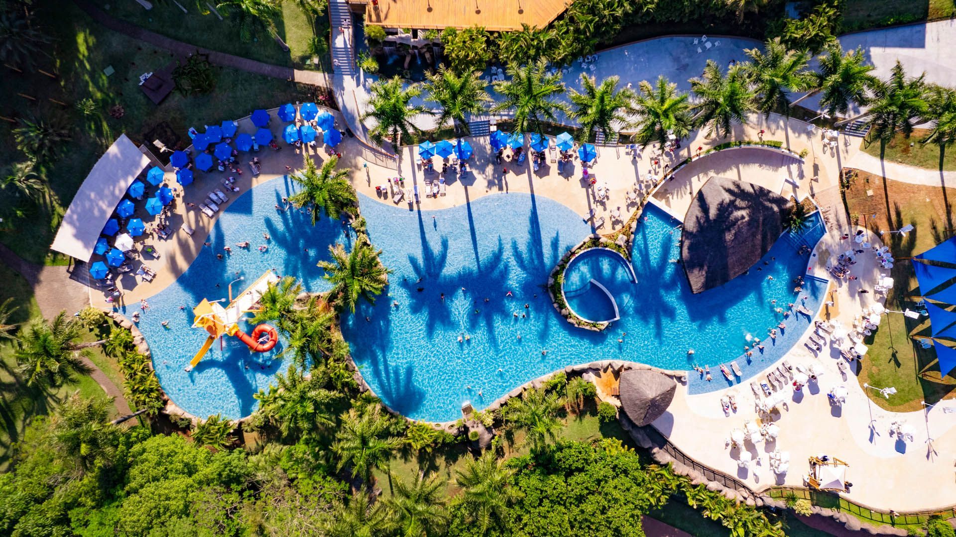 Vista aérea da piscina de um resort com água azul, palmeiras, espreguiçadeiras e caminhos sinuosos.
