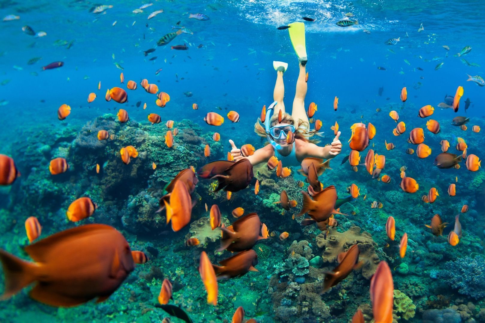 Mergulhador com nadadeiras amarelas nadando entre peixes alaranjados sobre um recife de coral em águas cristalinas.