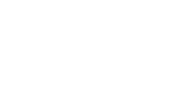 South Tampa magazine logo