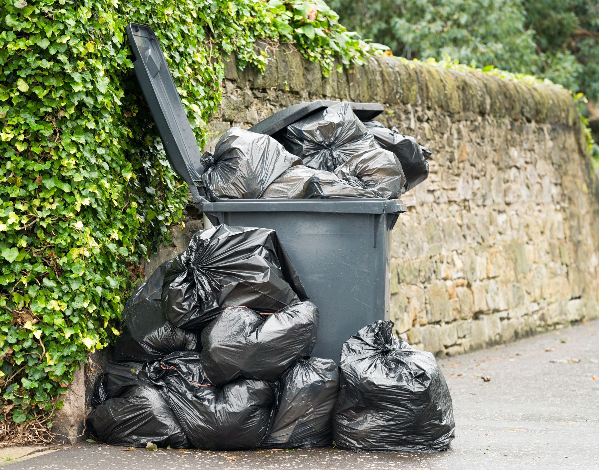 Full of Garbage in the Bin - Tifton, GA - Golden Environmental LLC Full of Garbage in the Bin - Tifton, GA - Golden Environmental LLC