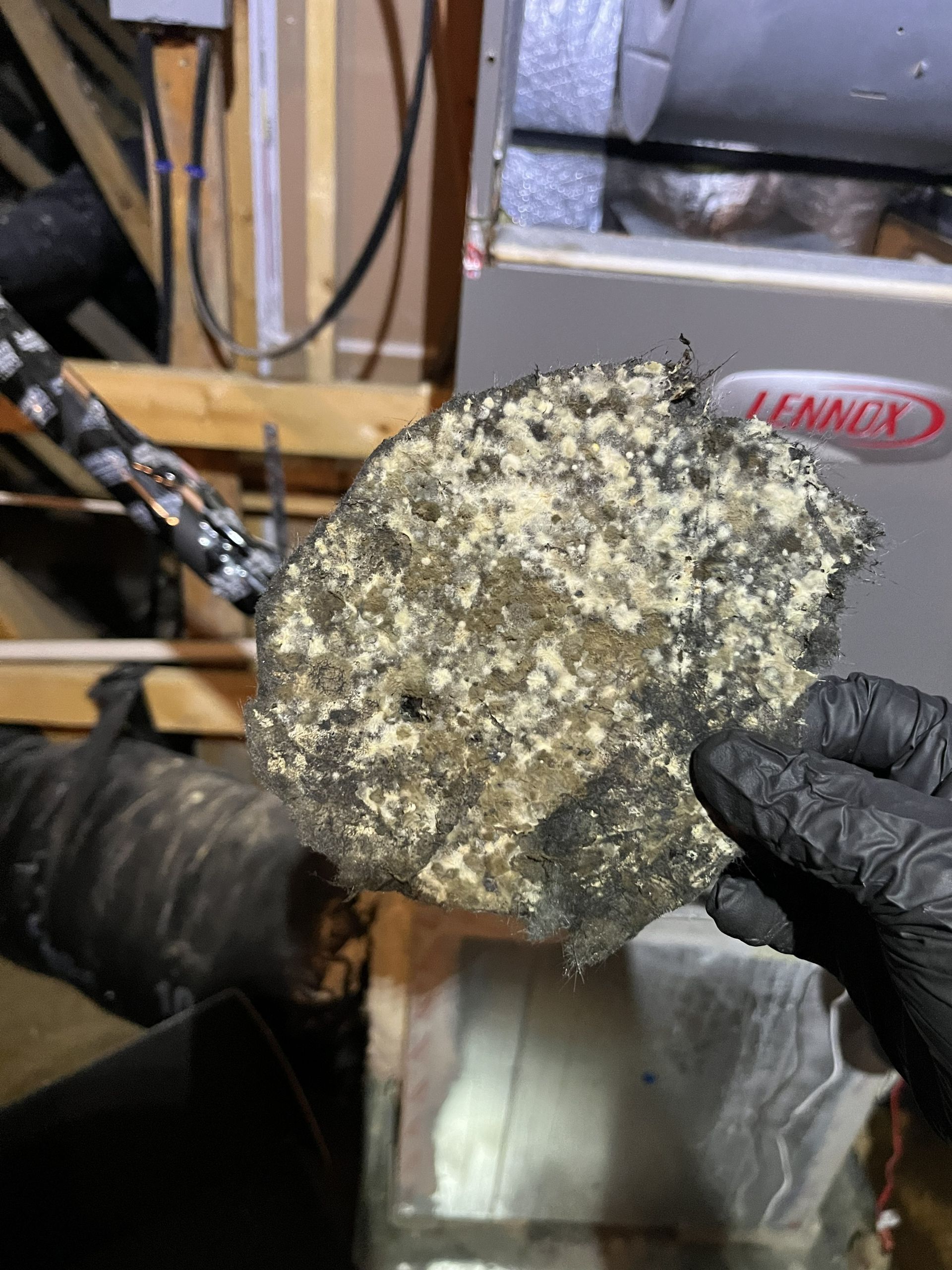 Gloved hands holding a rough, speckled mineral sample in a workshop setting