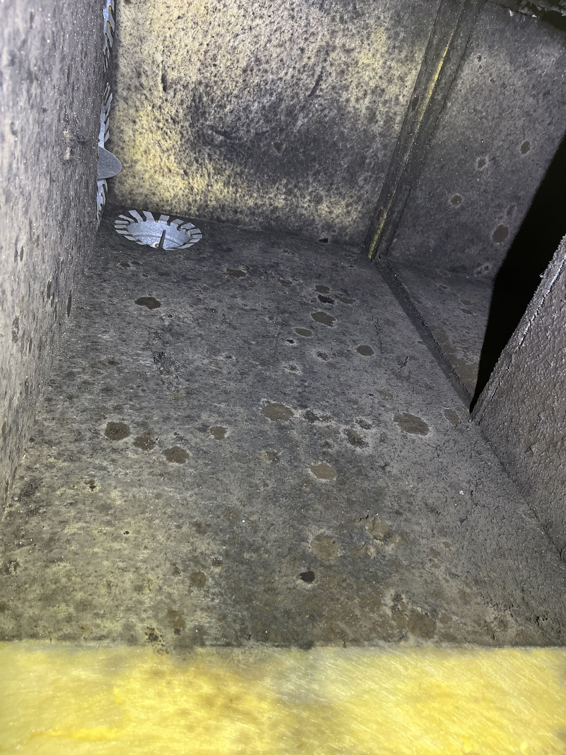 Dirty gray metal compartment with scattered debris and a yellow edge in the foreground