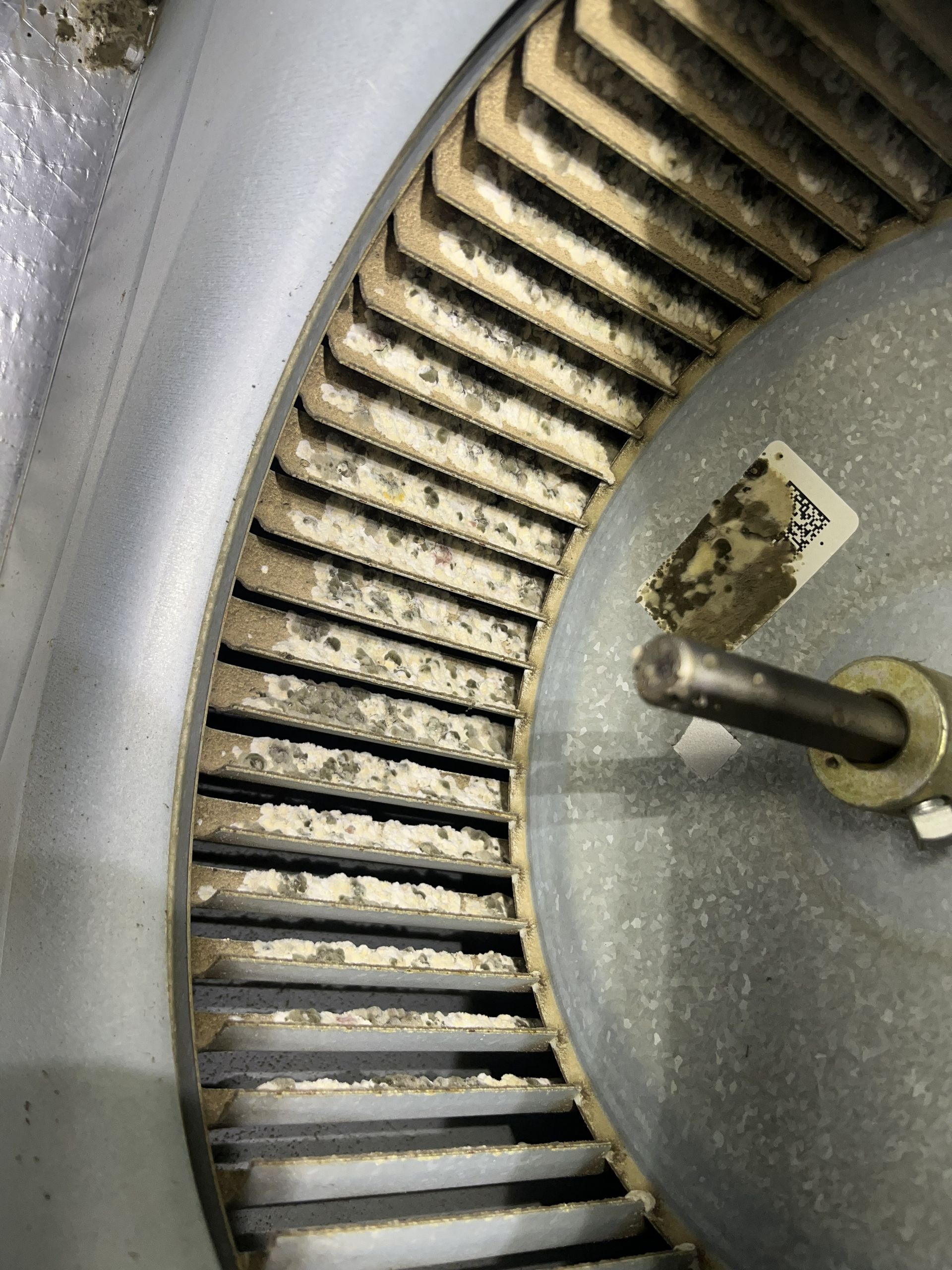 Close-up of a dirty metal vent or fan blade inside a gray appliance.