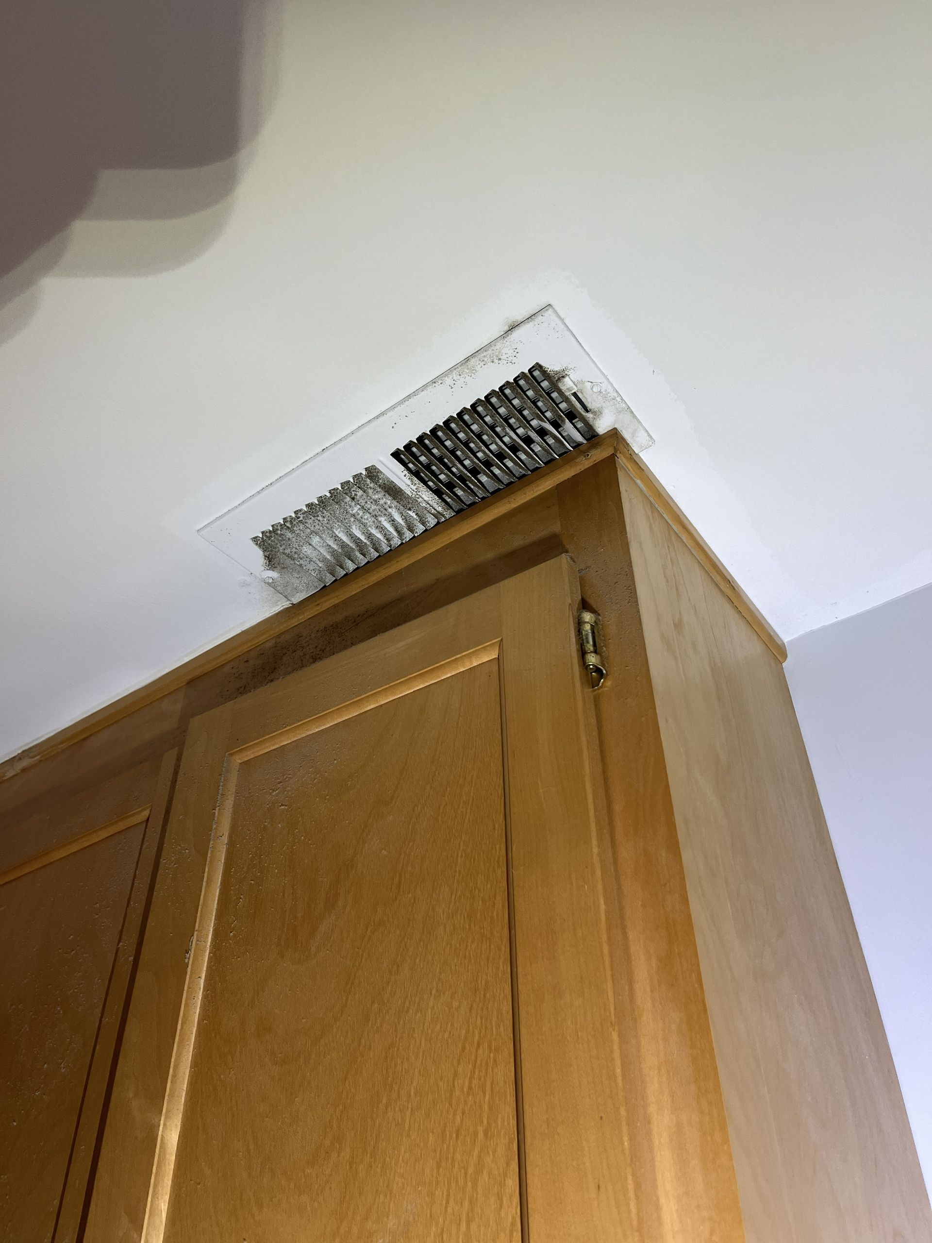 Dust and debris on top of a wooden kitchen cabinet near the ceiling