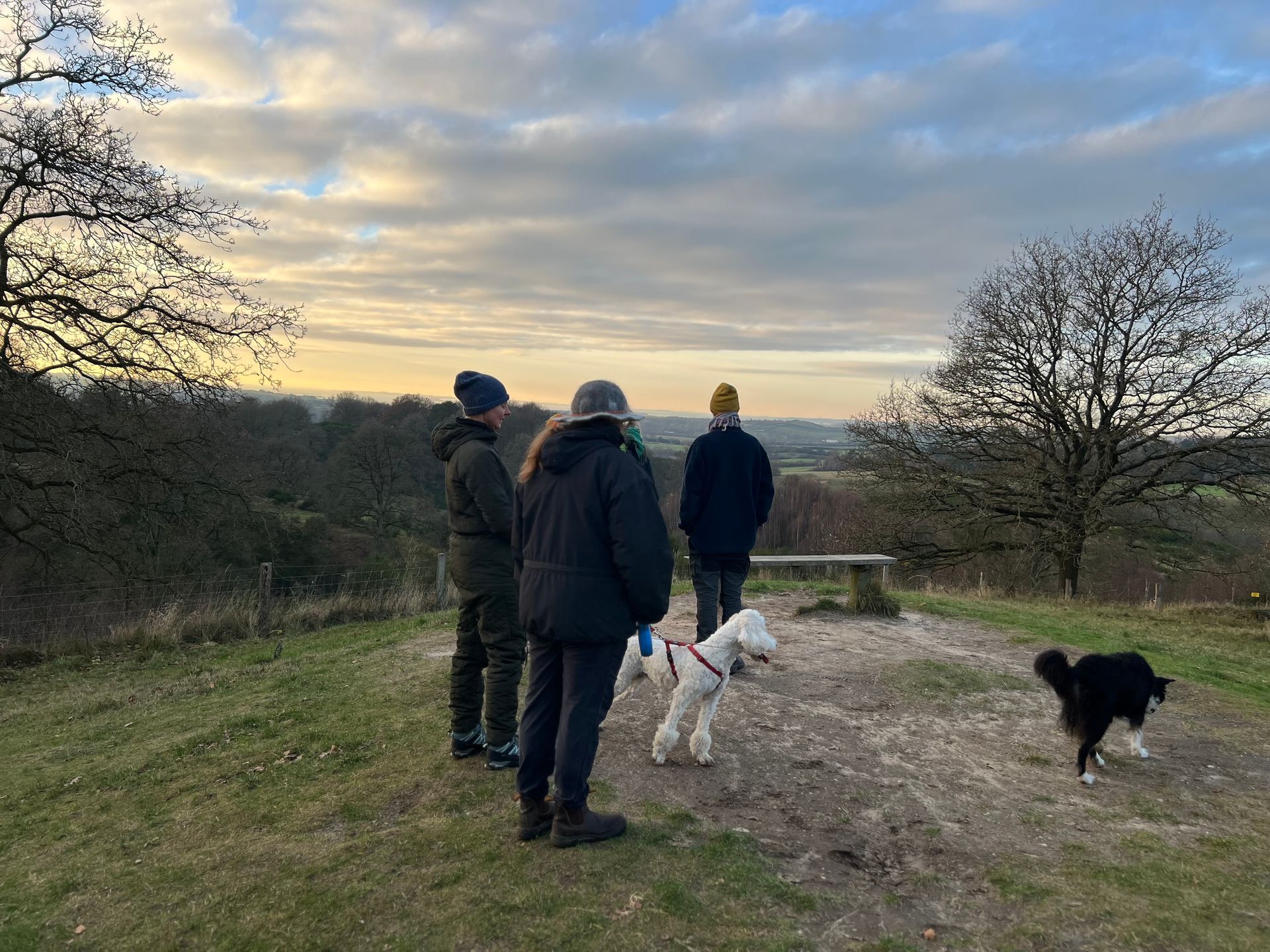 A group of people and a dog are standing on top of a hill.