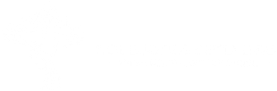 A white background with a few lines on it