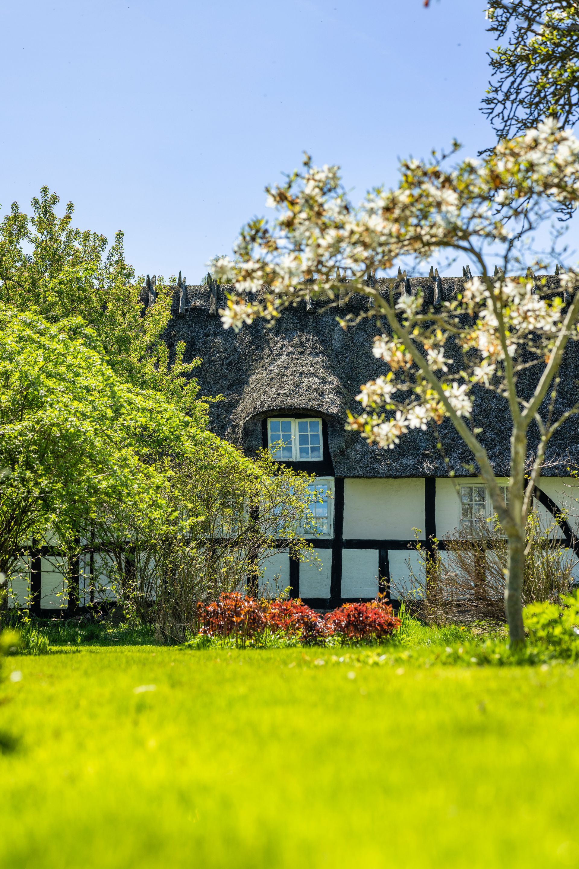 A house with a thatched roof is surrounded by trees and grass.