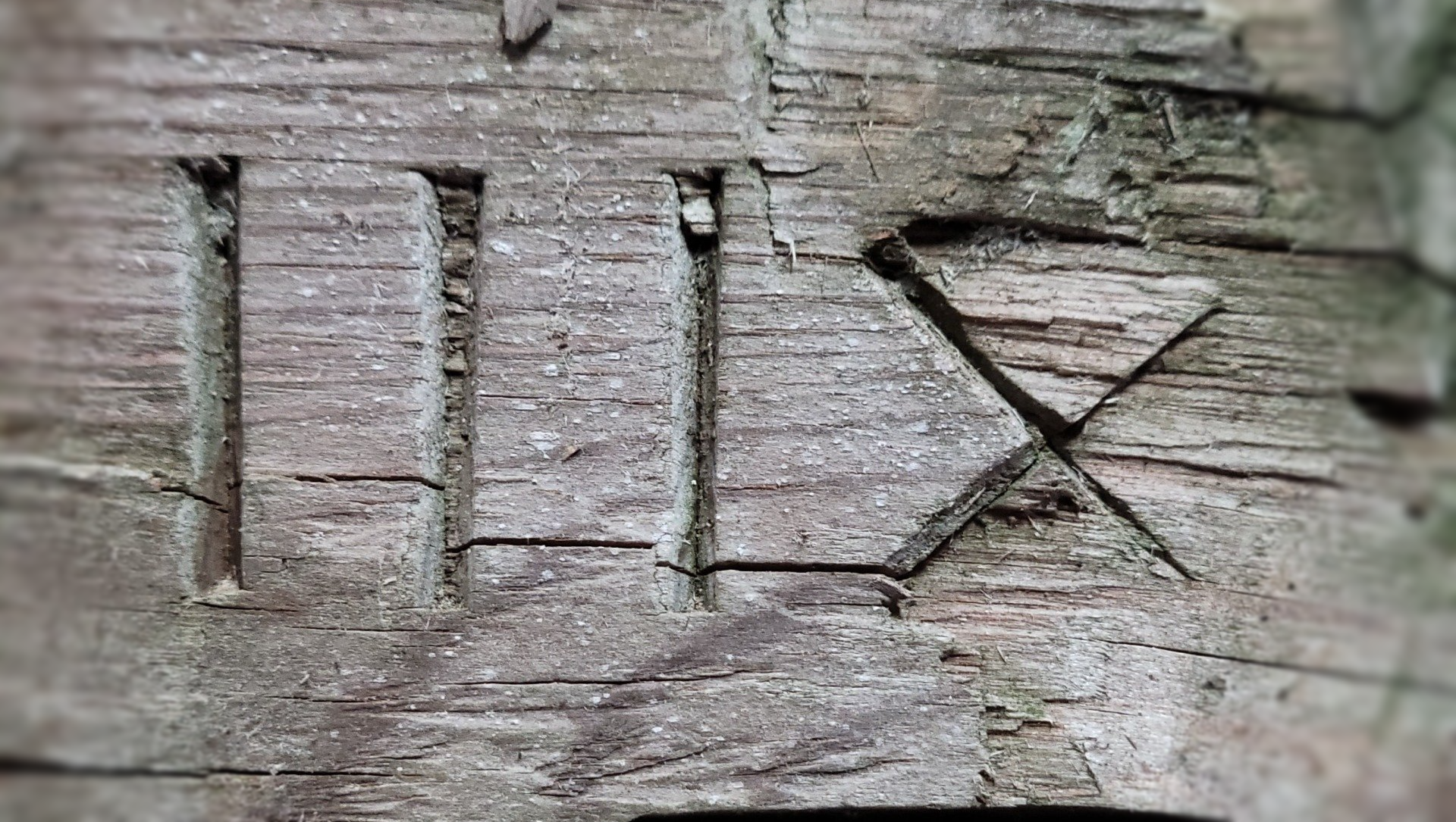 Hand Hewn Beam