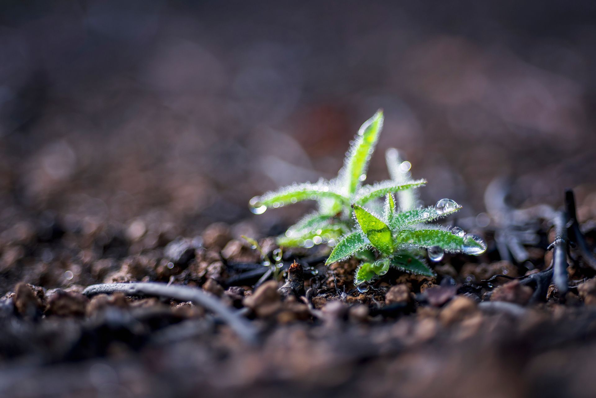 Aeration Services in New Market, TN