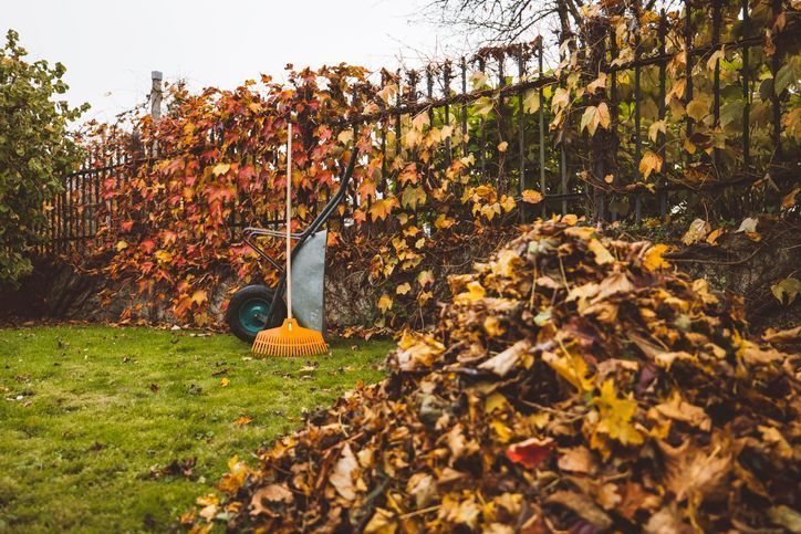 Leaf Removal in New Market, TN