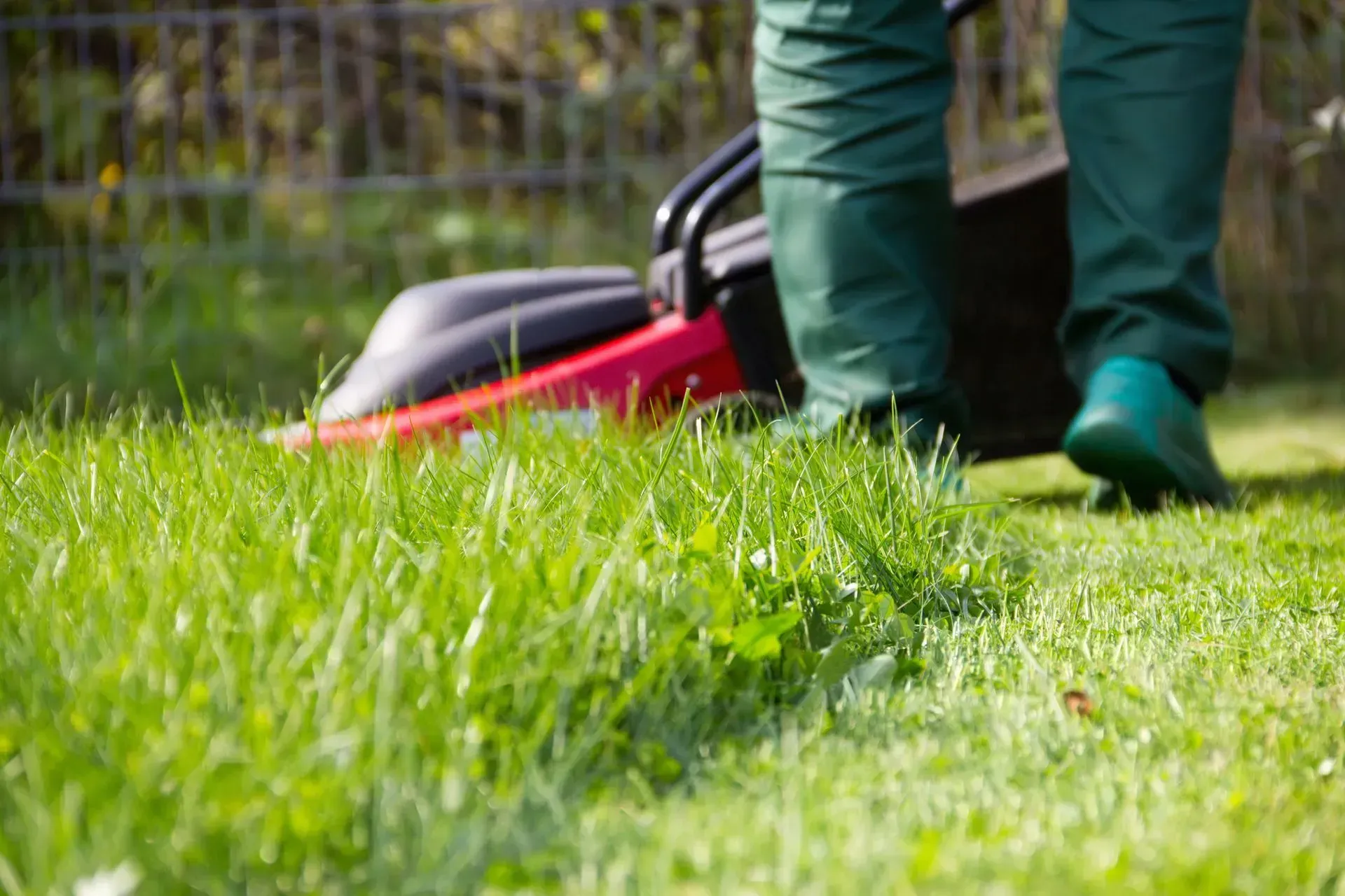 a person is using a lawn mower to cut the grass