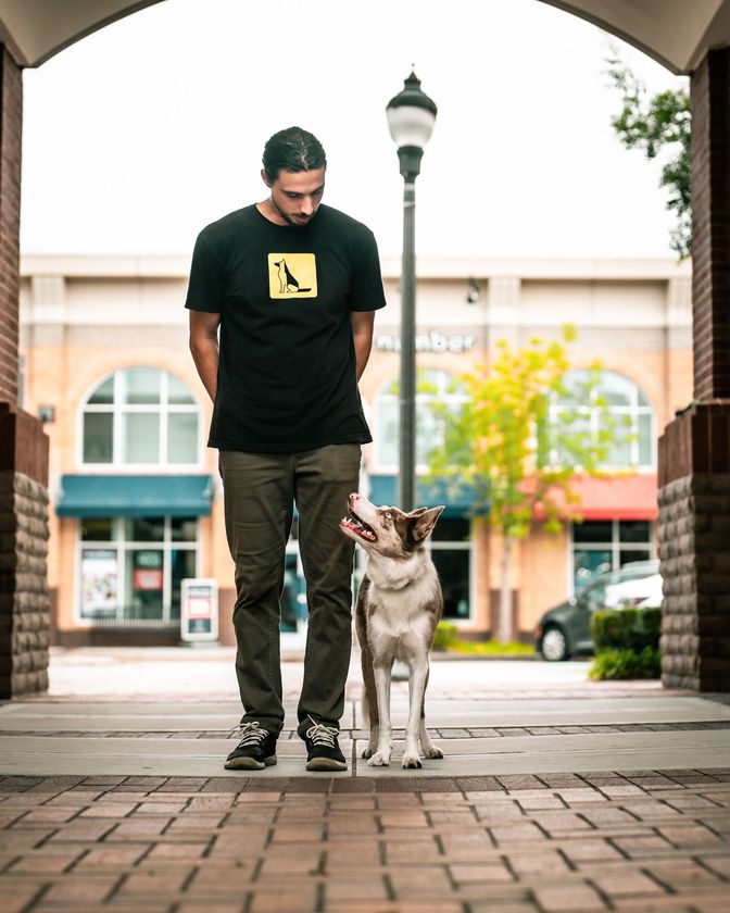 Dog Trainer Near Me
