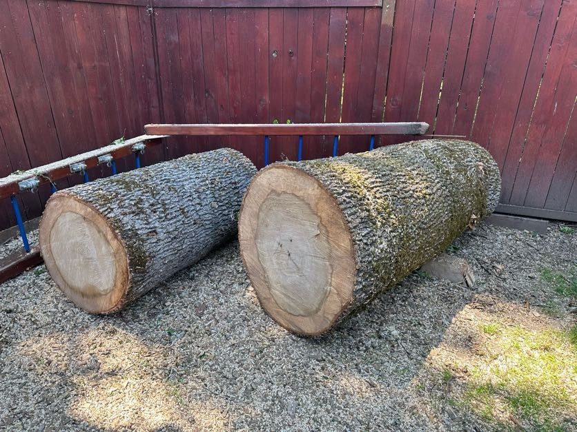 Two large cut logs lying on gravel in front of a red wooden fence.