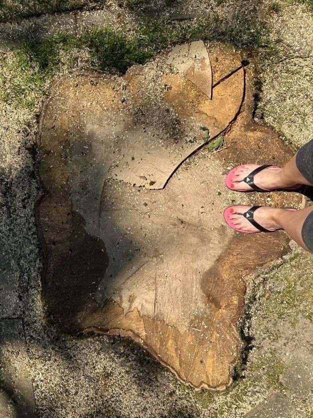 Pink flip-flops beside a large stone surface with moss and dirt outdoors