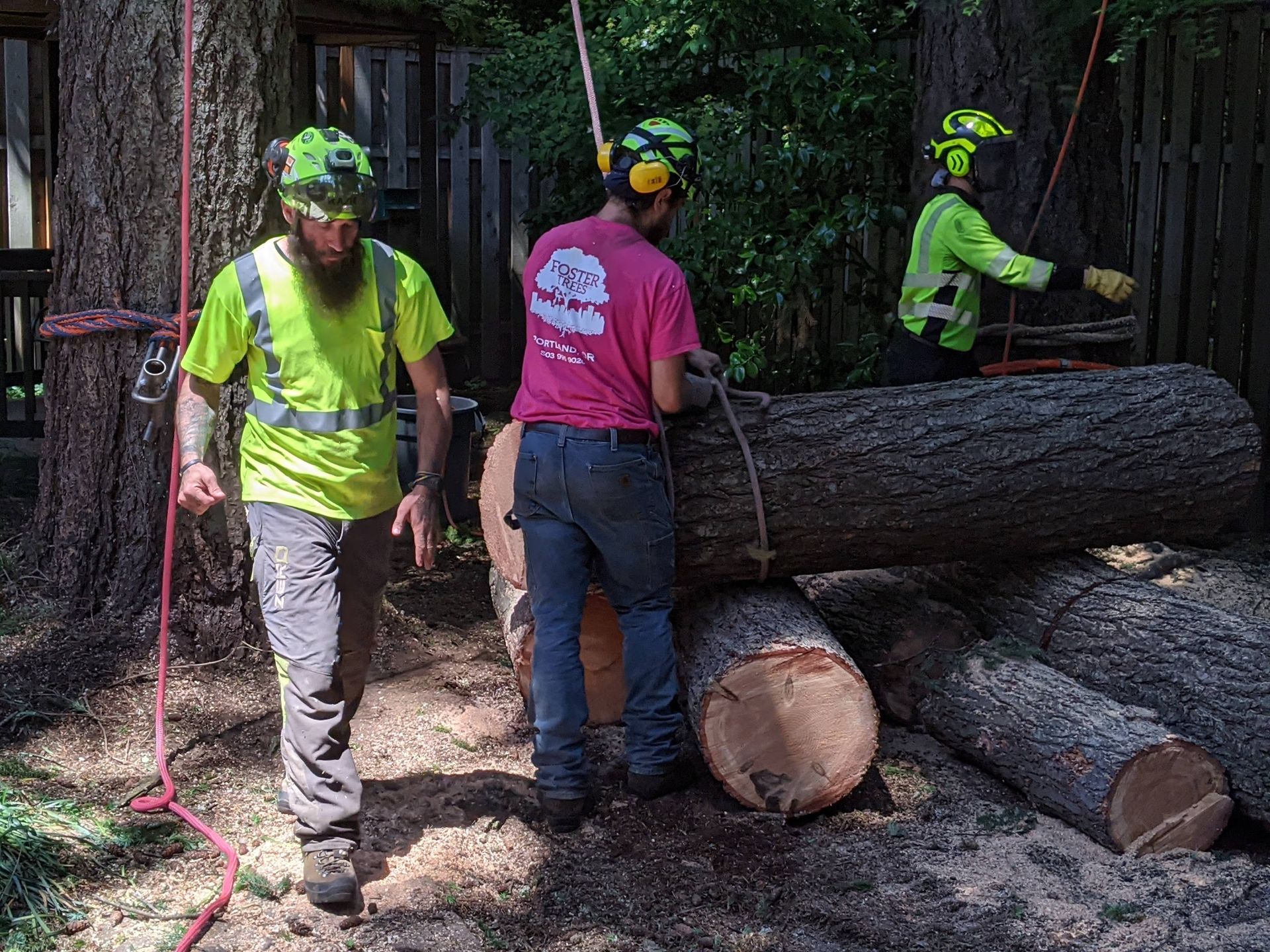 Three loggers in safety gear handle large cut logs in a forest clearing.