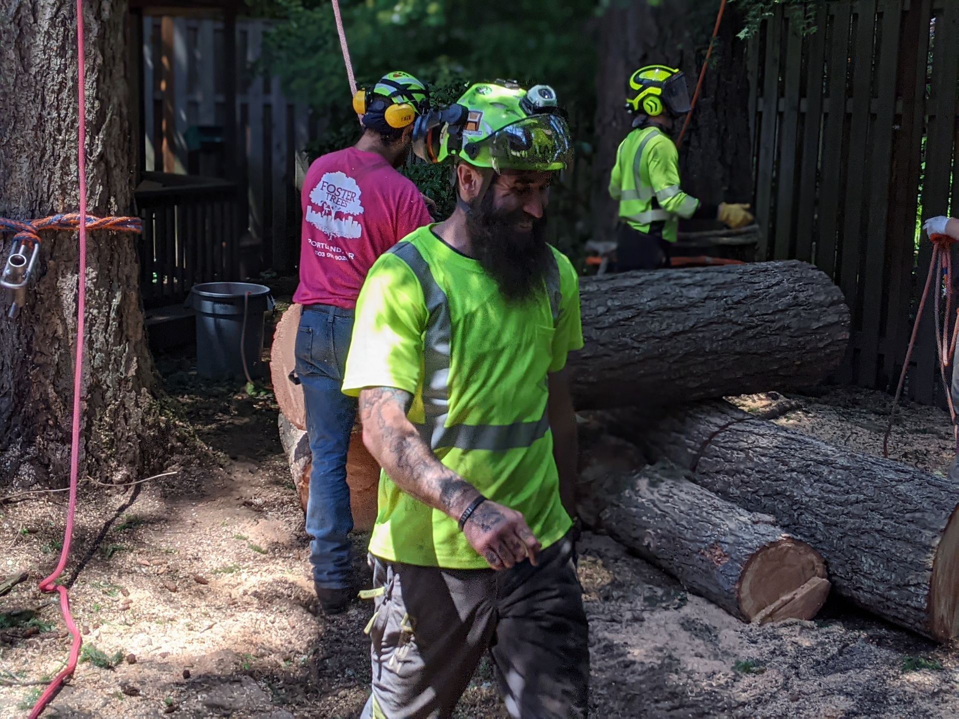 Workers in bright safety gear cutting large logs in a wooded yard