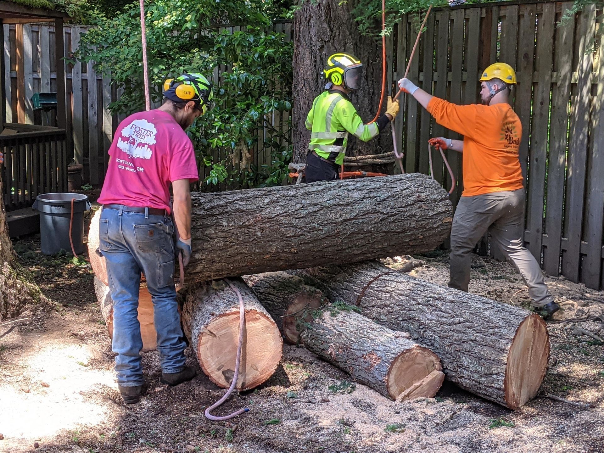Three workers in safety gear handling large logs outdoors by a wooden fence.