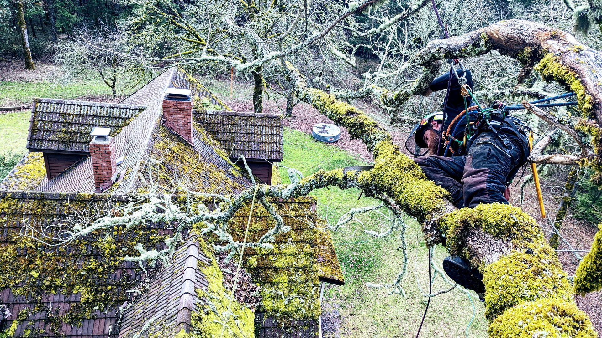 Aerial view of mossy stone rooftops and a person in a black jacket on a rope course in a forest