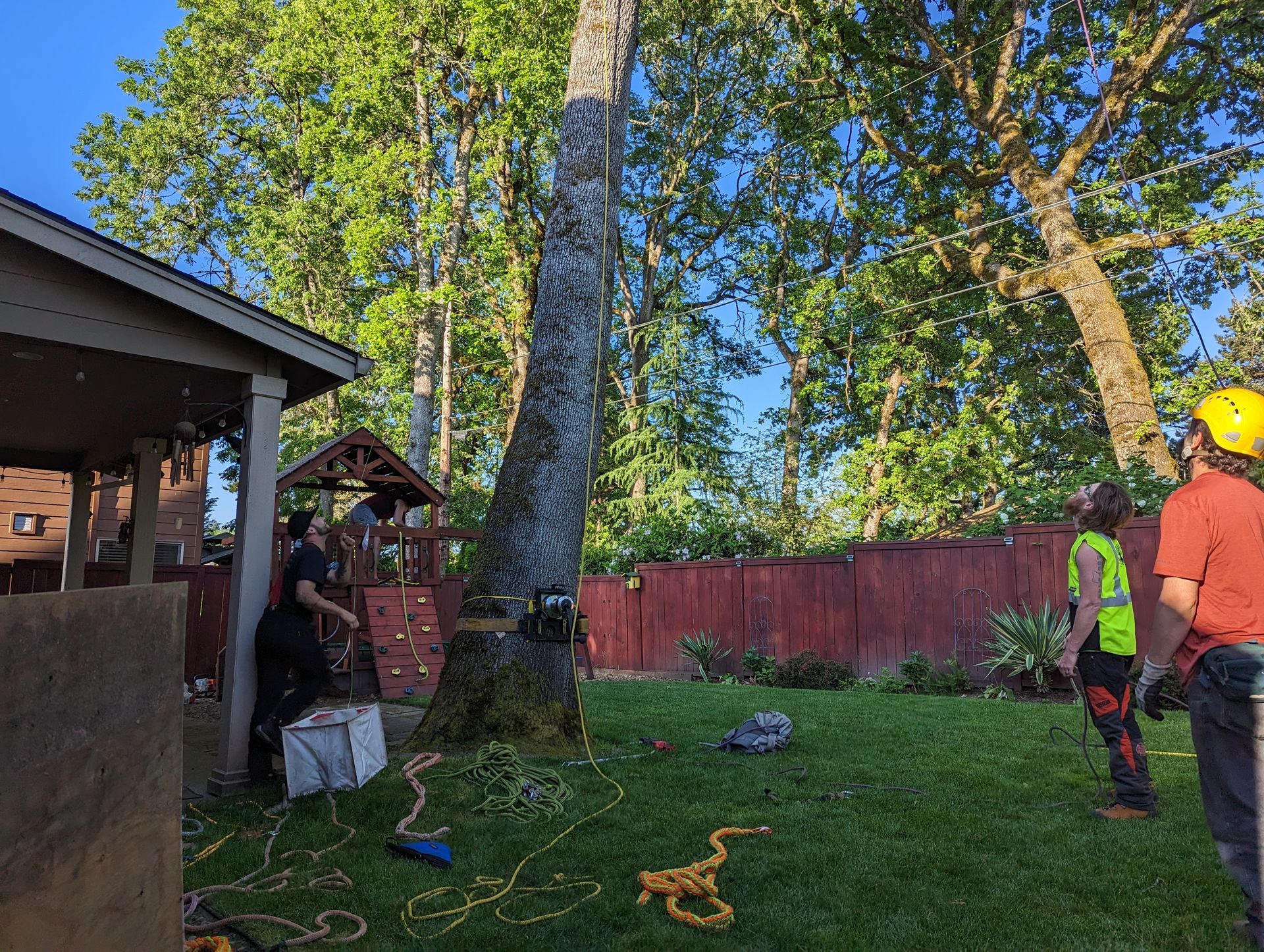 Backyard with tall trees, red fence, and a worker in a yellow helmet near a house and hose