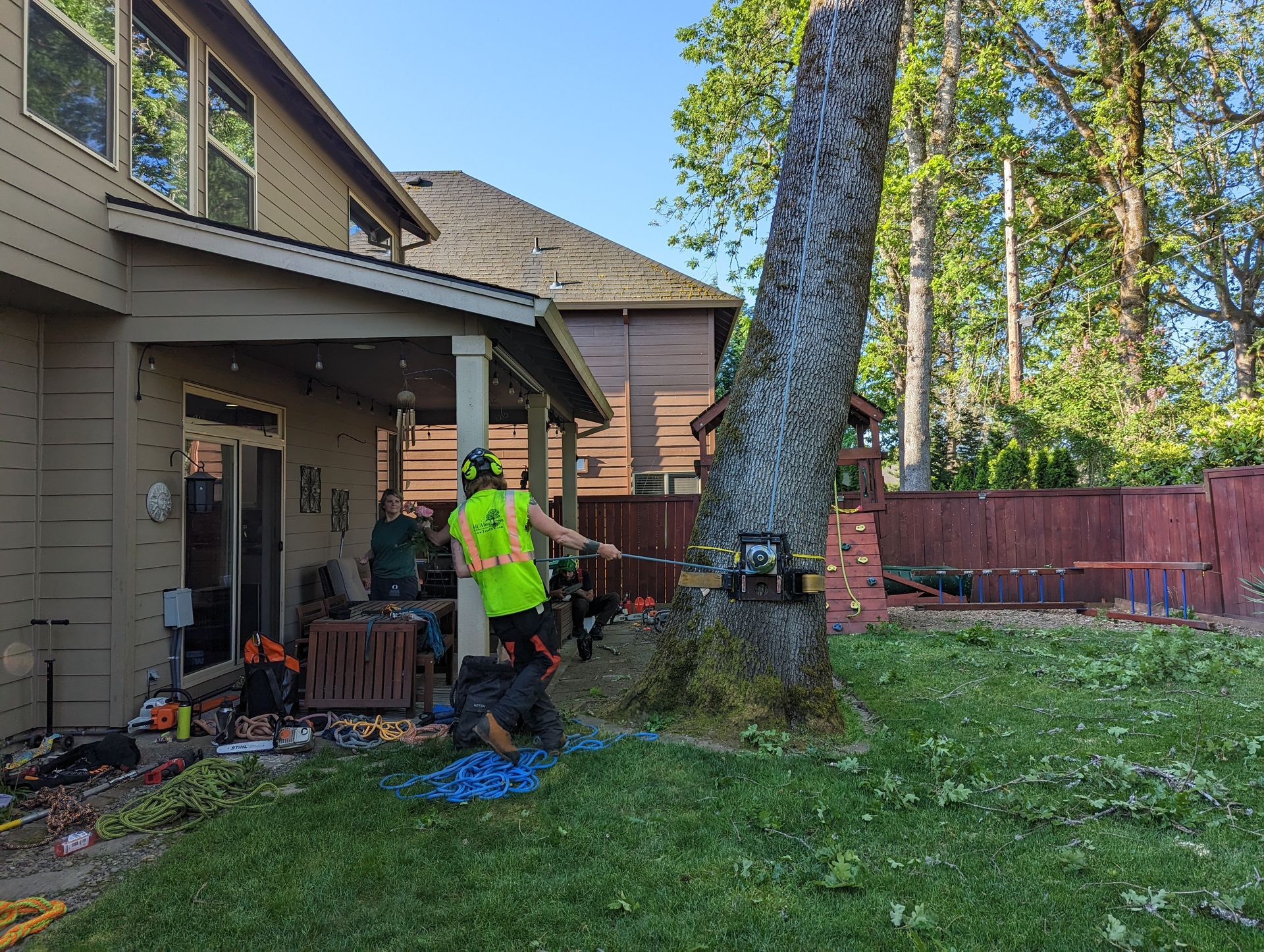 Person in neon shirt trimming a large tree in a backyard beside a house