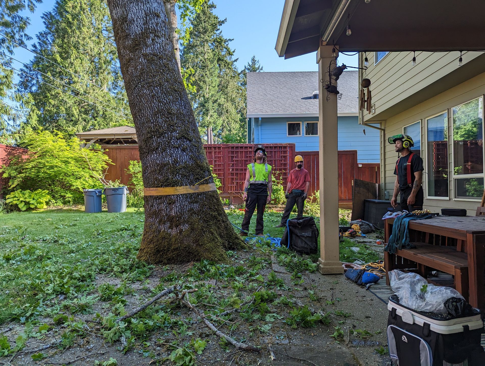 Backyard scene with two workers near a red shed, large tree, and house porch, tools scattered on the ground