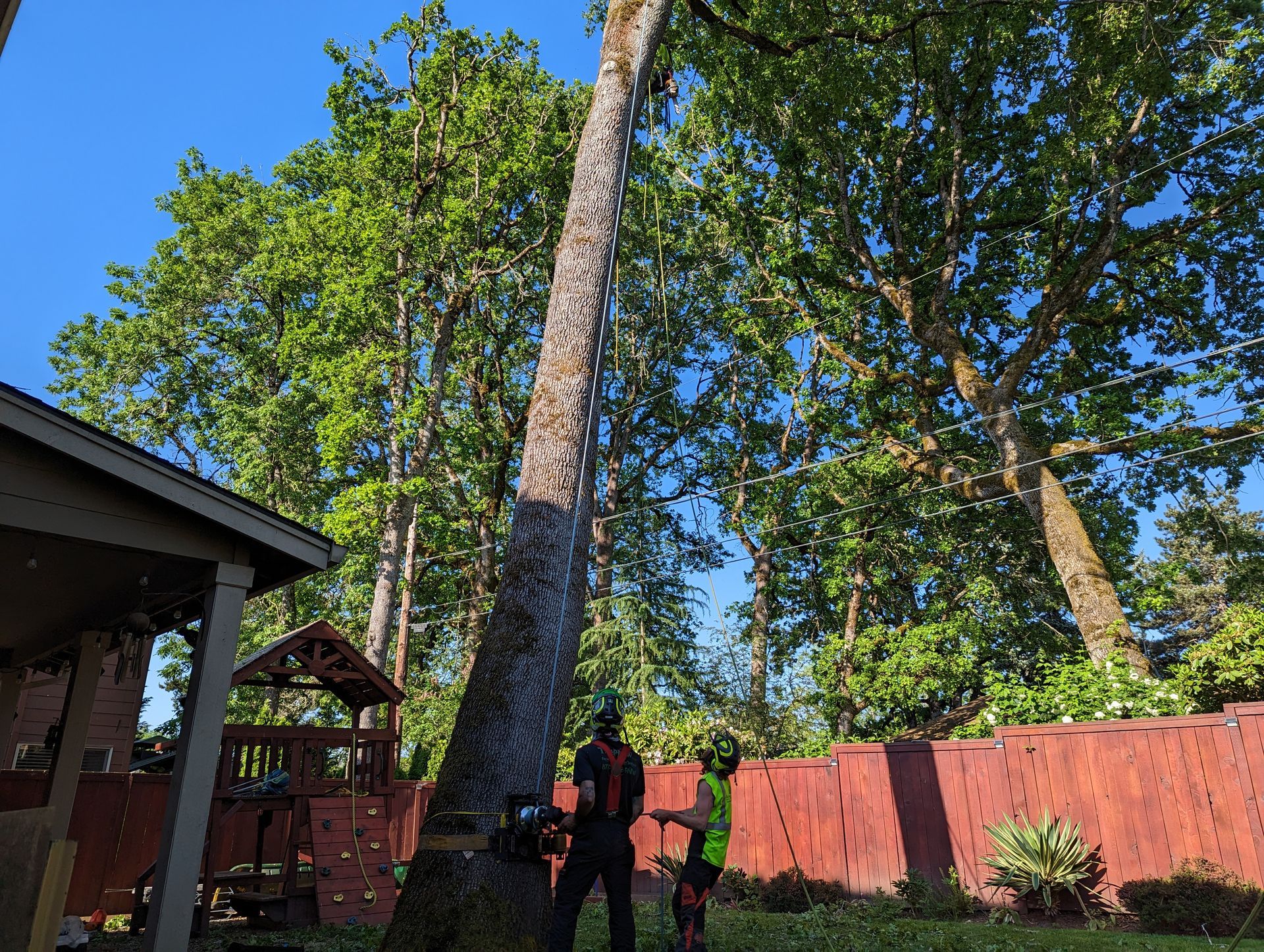 Backyard with tall trees, red fence, and two people standing near a brick house.