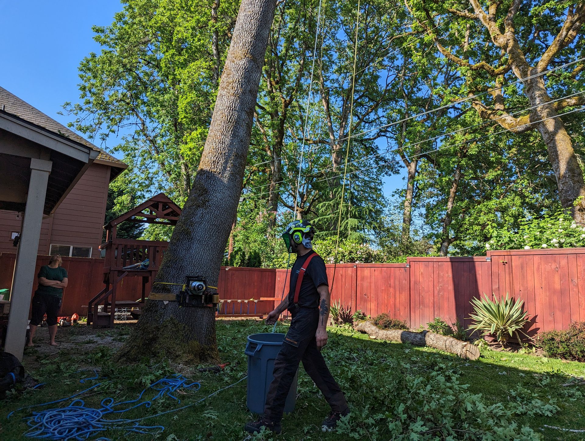 Person walking in a backyard beside a trash bin, with tall trees, red fence, and a house in the background.