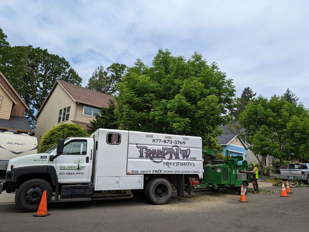 White landscaping truck with trailer and orange cones parked on a residential street near trees and houses