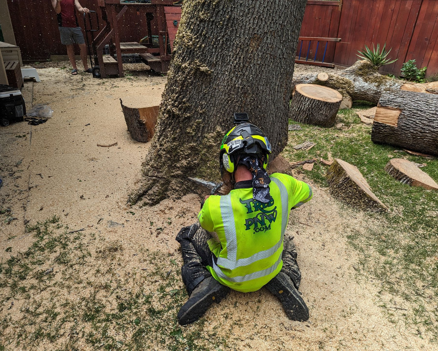 Worker in a neon safety vest and helmet kneels by a large tree, cutting roots in a woodchip yard.