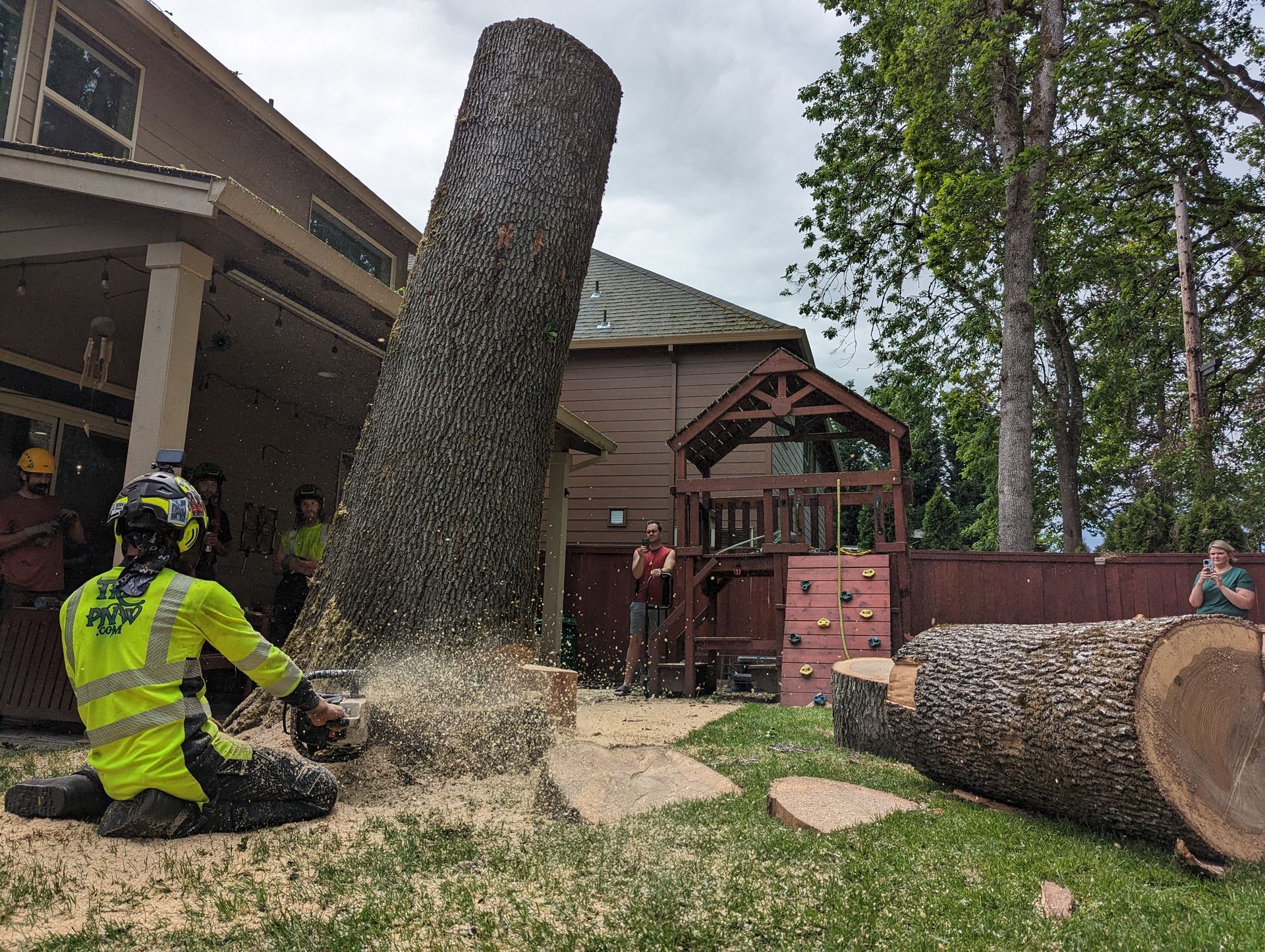 Worker in neon safety gear chainsaws a large tree trunk beside a house, with logs and wood chips scattered nearby.