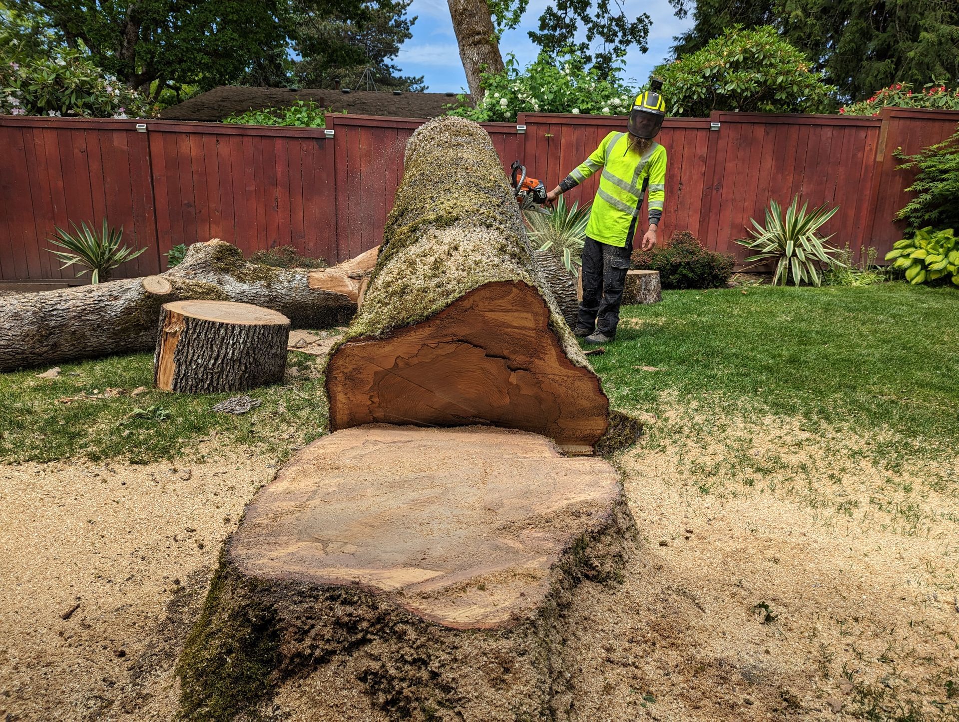 Worker in neon vest standing beside cut tree stumps in a backyard with a red fence.