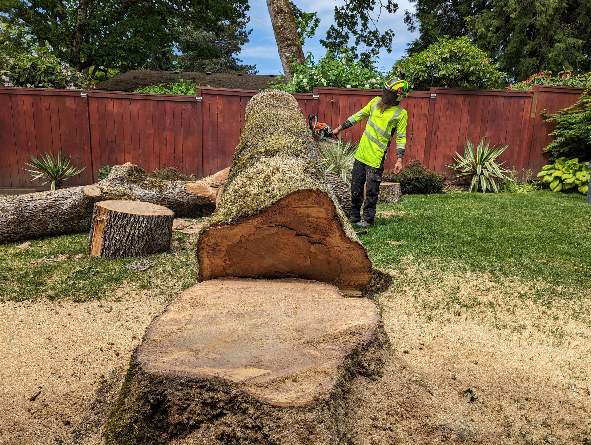 Large tree stump in a backyard, with a worker in a neon vest standing nearby.