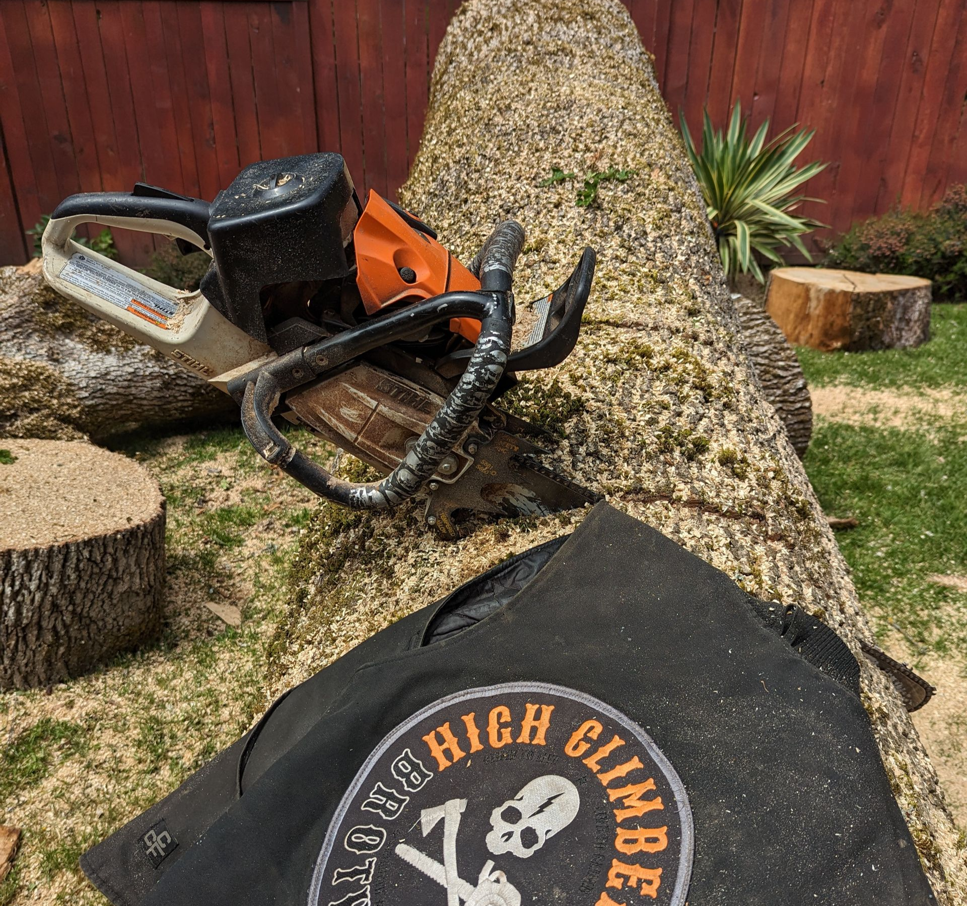 Chainsaw on a fallen tree trunk beside a black bag with a “High Climber” logo outdoors.