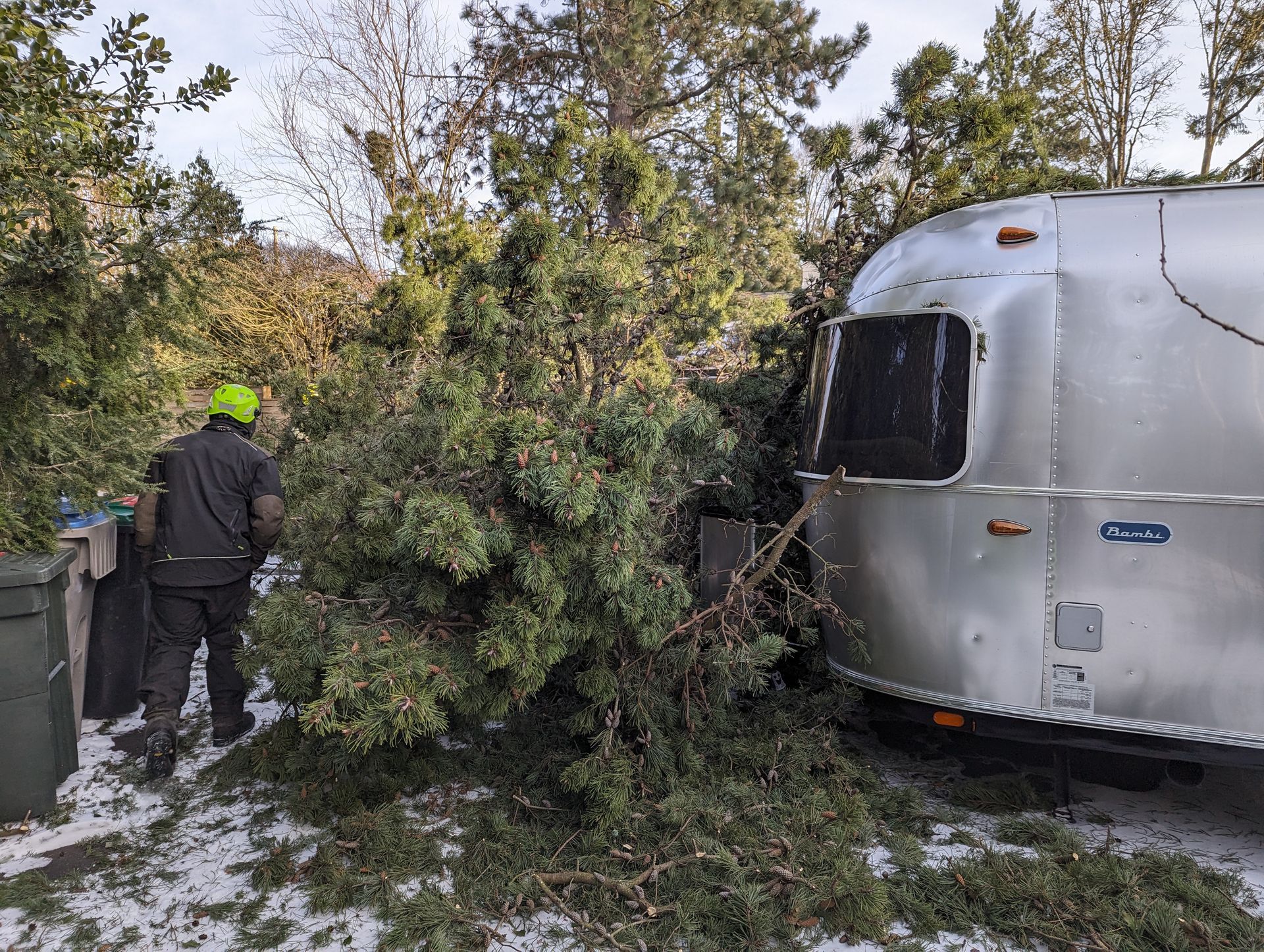 Worker clearing fallen tree branches beside a silver semi-truck on a roadside.