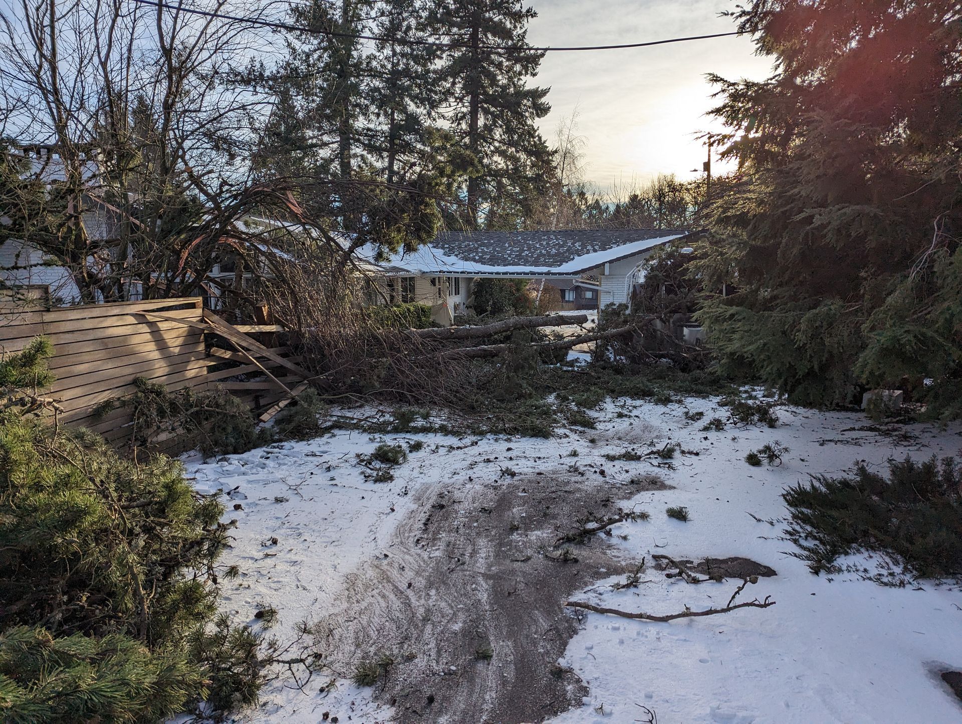 Snowy backyard with a dirt path, trees, and a house at dusk