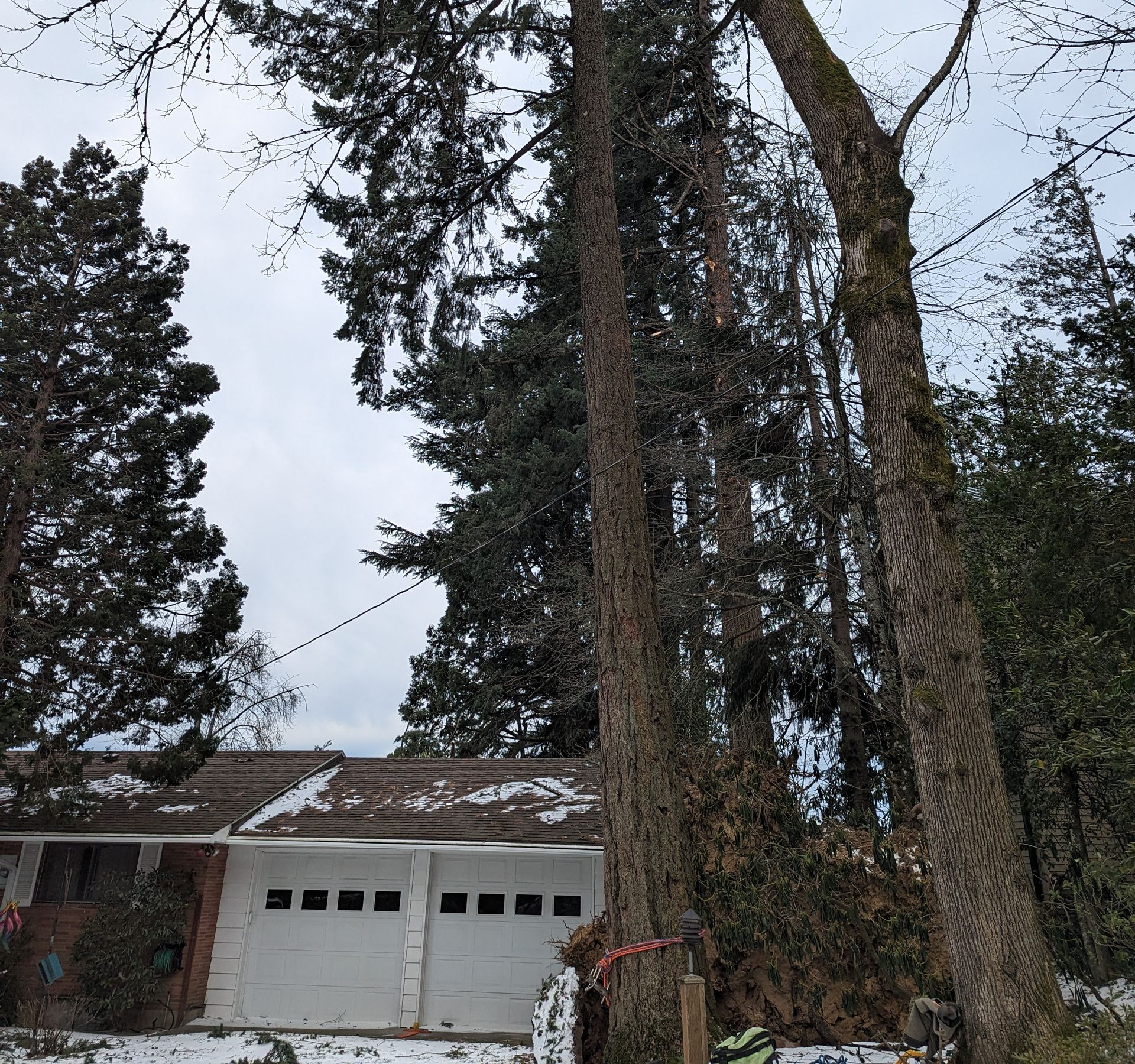 Snowy driveway beside a brick house and garage, framed by tall leafless trees under an overcast sky