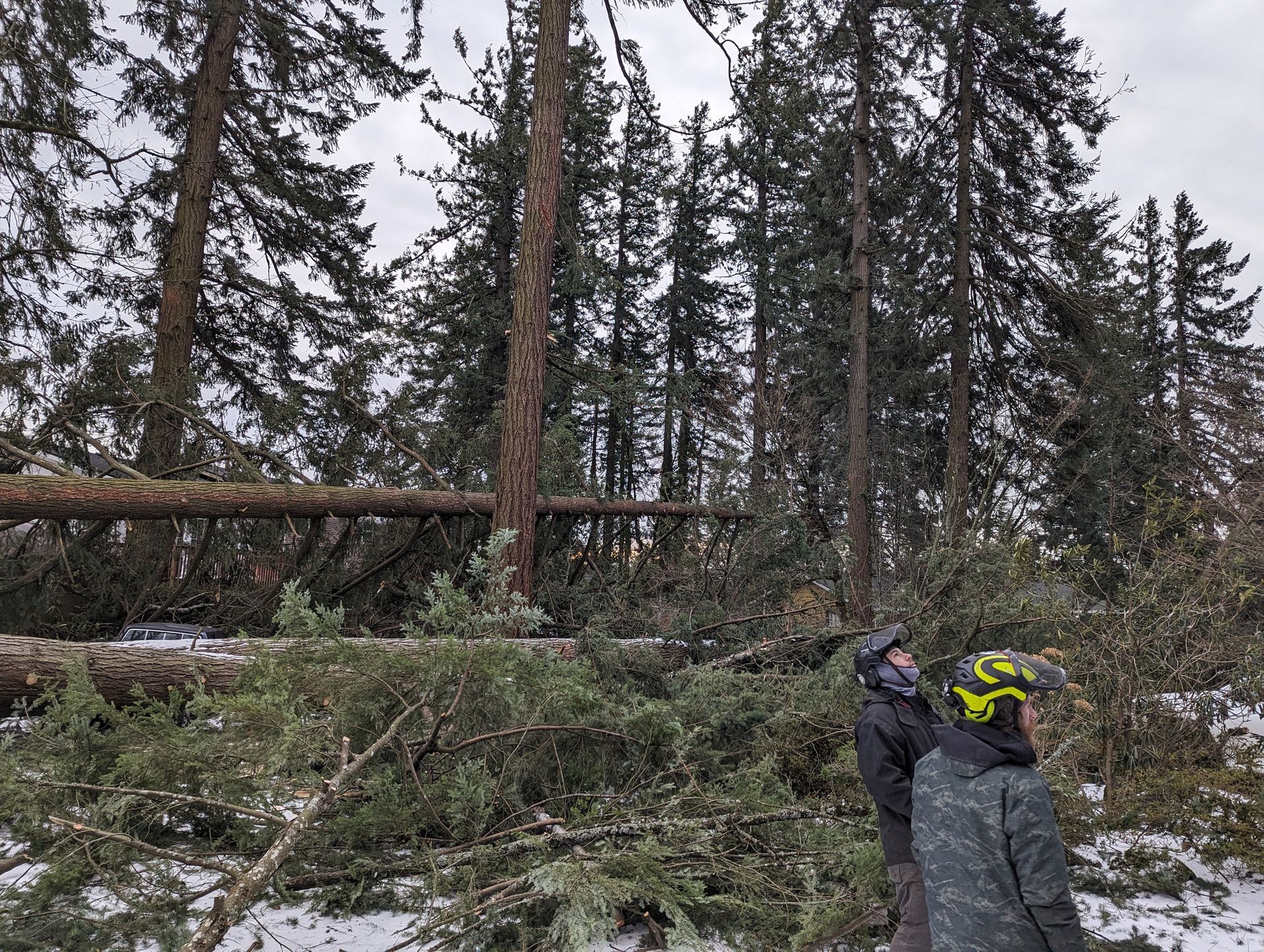 Two hikers in winter gear clear fallen trees on a snowy forest trail