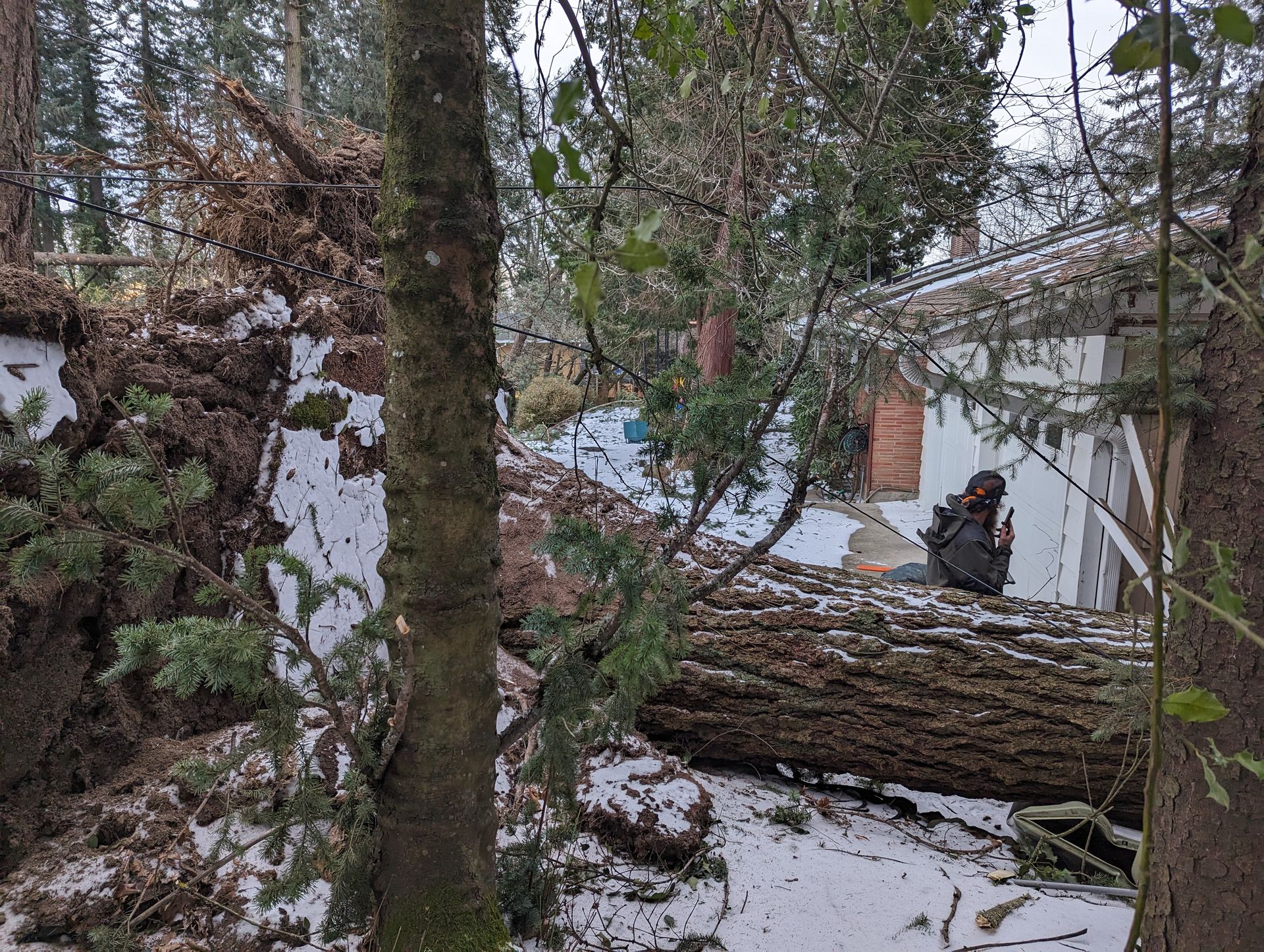 Snowy yard with fallen trees and a person seated near a white house