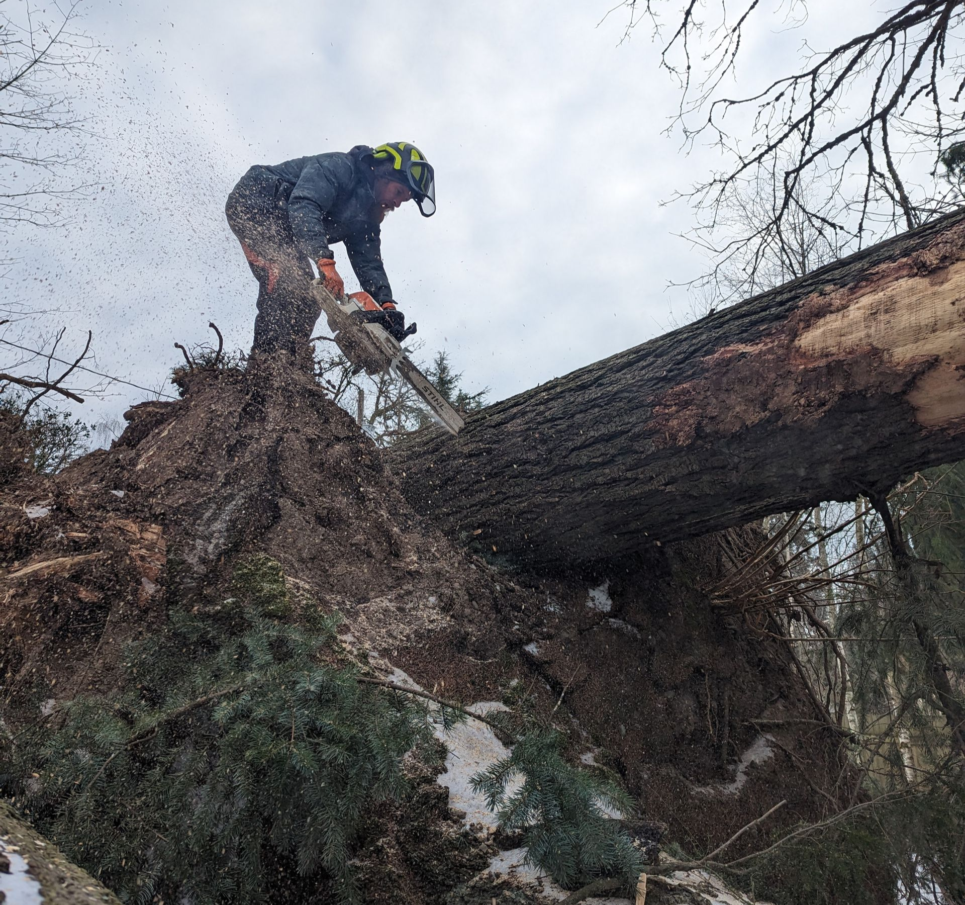 Worker in helmet cutting a fallen tree trunk with a chainsaw on a steep wooded slope.