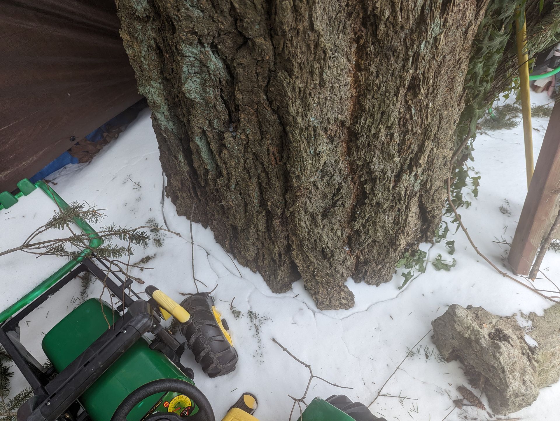 Large tree trunk in snowy yard beside green lawn equipment and a small stone pile